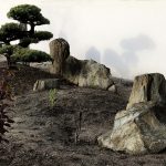 skały w ogrodzie japońskim(2)
